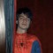 spiderbean_