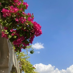 لا أحب الآفلين