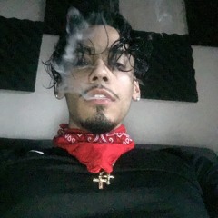 VegaSL