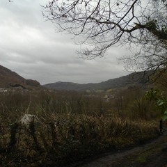 Hunsecker Falco Music