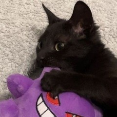 silas
