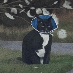 t░o░n░e░s