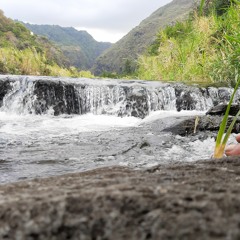 Leste Luidji