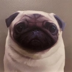 invisible interlocuto