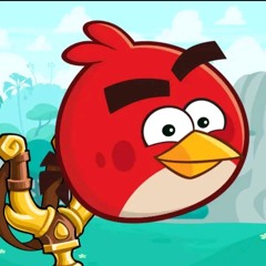 Angry birds Fan 02