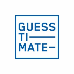 Guesstimate