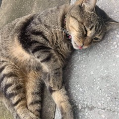 전종혁