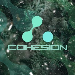 Cohesiondnb2025