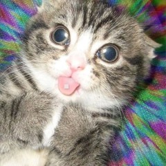 melllanhollly