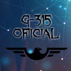 G-315[OFICIAL]