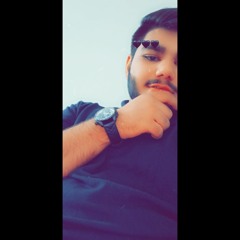سندیش پنجابی 💸