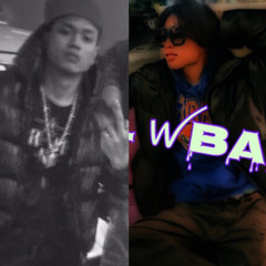 dolphin & lil wbark