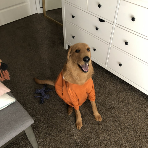 Stream vinyll coffee for your head (edit) by saia Listen online for