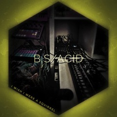 B.S/ACID
