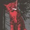 COOL CAT DUDE