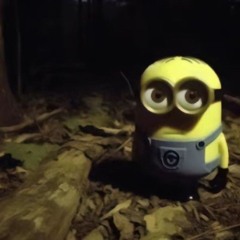 Franzytekk