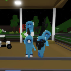sadi_vp