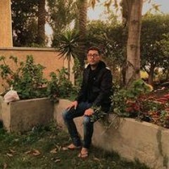 عبد الحميد ابو وعد