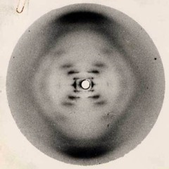 M.