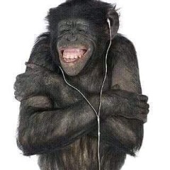 notmadeinmorio