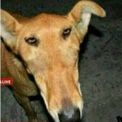 FAVST x GIBBS x KUKON - HALO (WOJTULA REMIX).mp3