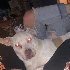 Brendon high flyr mathies