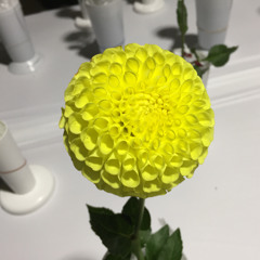 المواقف والمخاطبات