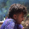 ali dashi