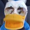 Donald Duck