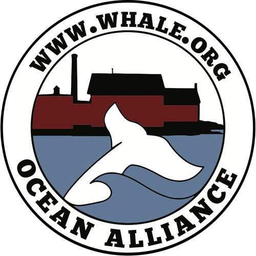 Ocean Alliance, Inc.’s avatar