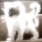 grizzlypng