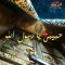 Ahmed Rashed