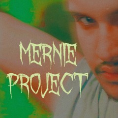Mernie Project