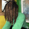 WEEDREED