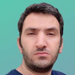 hamidreza mozafary