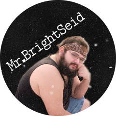 Mr.BrightSeid