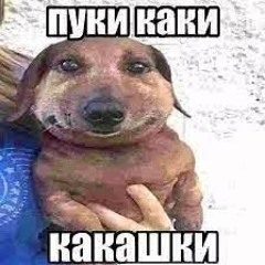 Педик Пидор Пидорас Полная Версия Без Регистрации