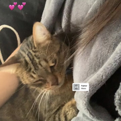 lyna_z5