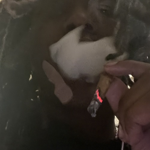 Che - coraline Snippet