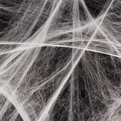 ashnet
