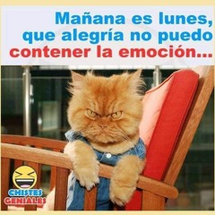 Jaime