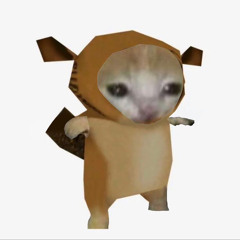 kokot