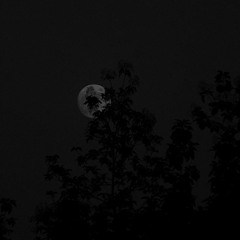 𝗔𝗿𝗼𝘂𝗻𝗮𝗮