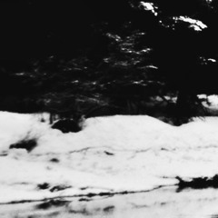 revolution peak