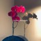 Ⓐ Träsh Bouquet Ⓔ