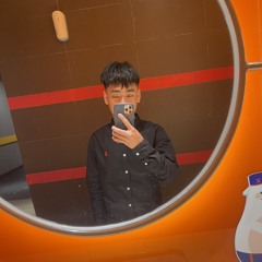 viet anh vip