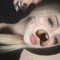 𝖆𝖉𝖊𝖑𝖐𝖆𝖆 🖤
