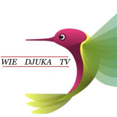 wdt media