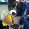 VINPUP (⸝⸝ᴗ﹏ᴗ⸝⸝) ᶻ 𝗓 𐰁