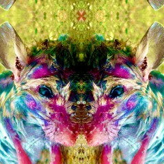WolfNRabbit